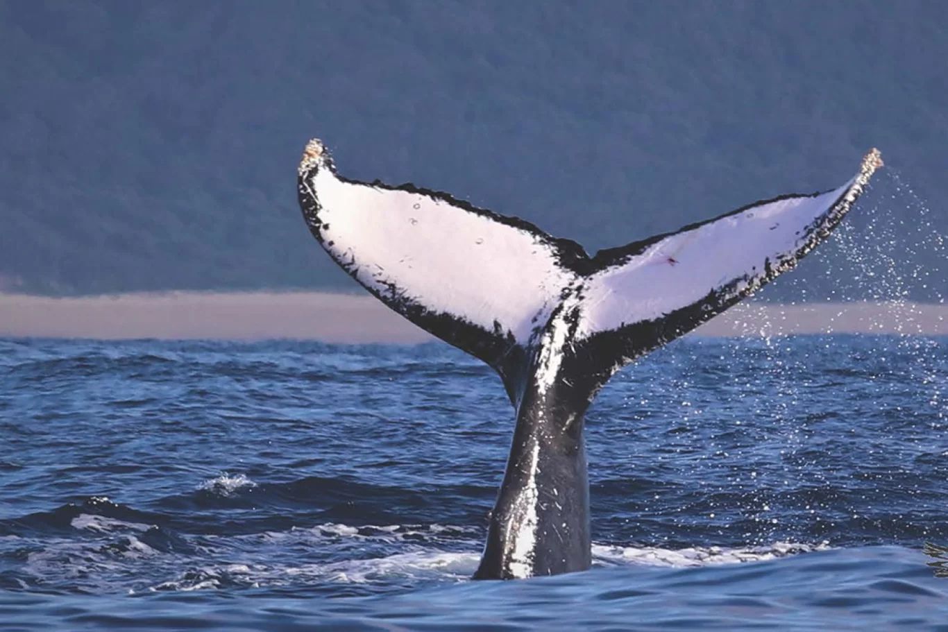 iSimangaliso’s Reaction to Adjusted Alert Level 3 Regulations