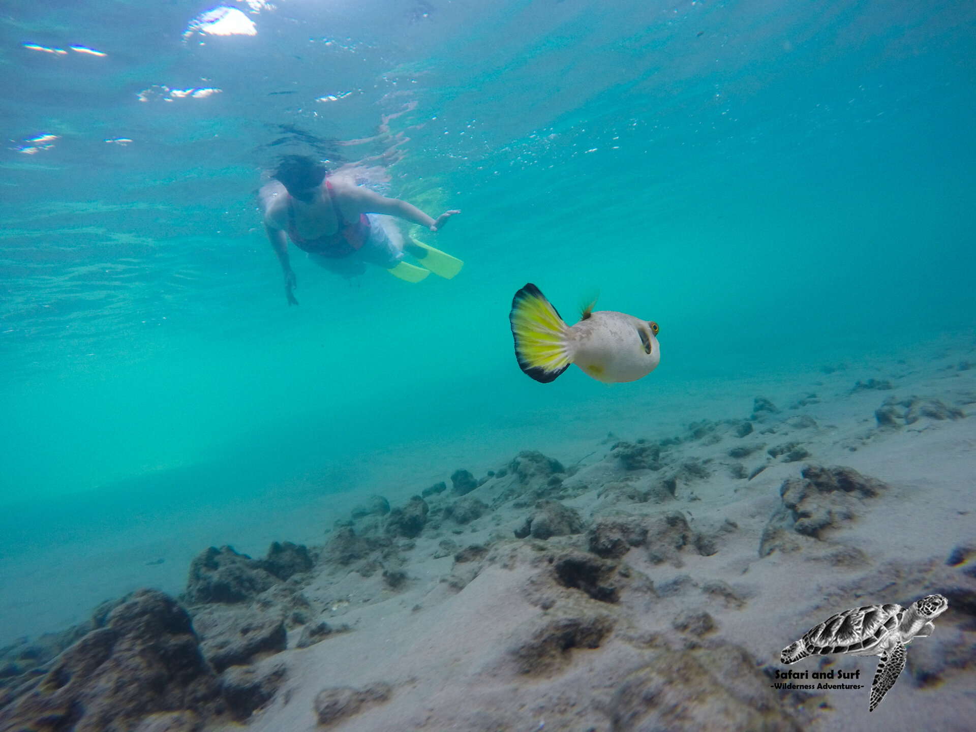 A Pristine Aquatic Wonderland of Lakes, Channels, and Estuaries