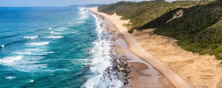 iSimangaliso’s reaction to the arrest of its officials.