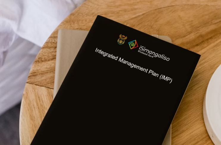 Consultation on the Draft IMP kicks off