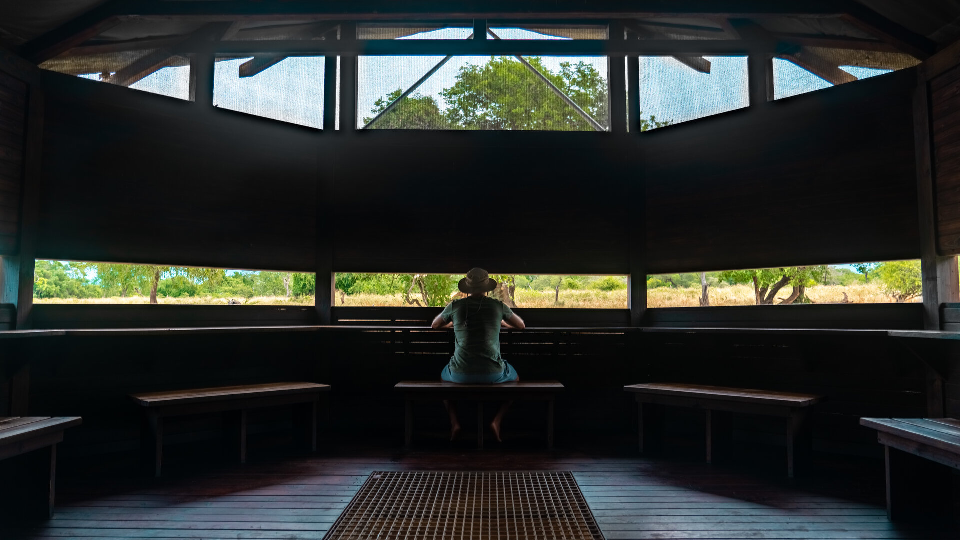 Big 5 & Rare Predators