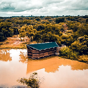 Wildlife Spectacles at the Pans