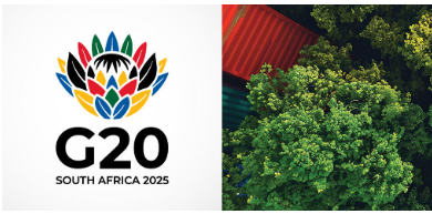 Over 20 countries attend global wildlife program learning exchange at iSimangaliso wetland park