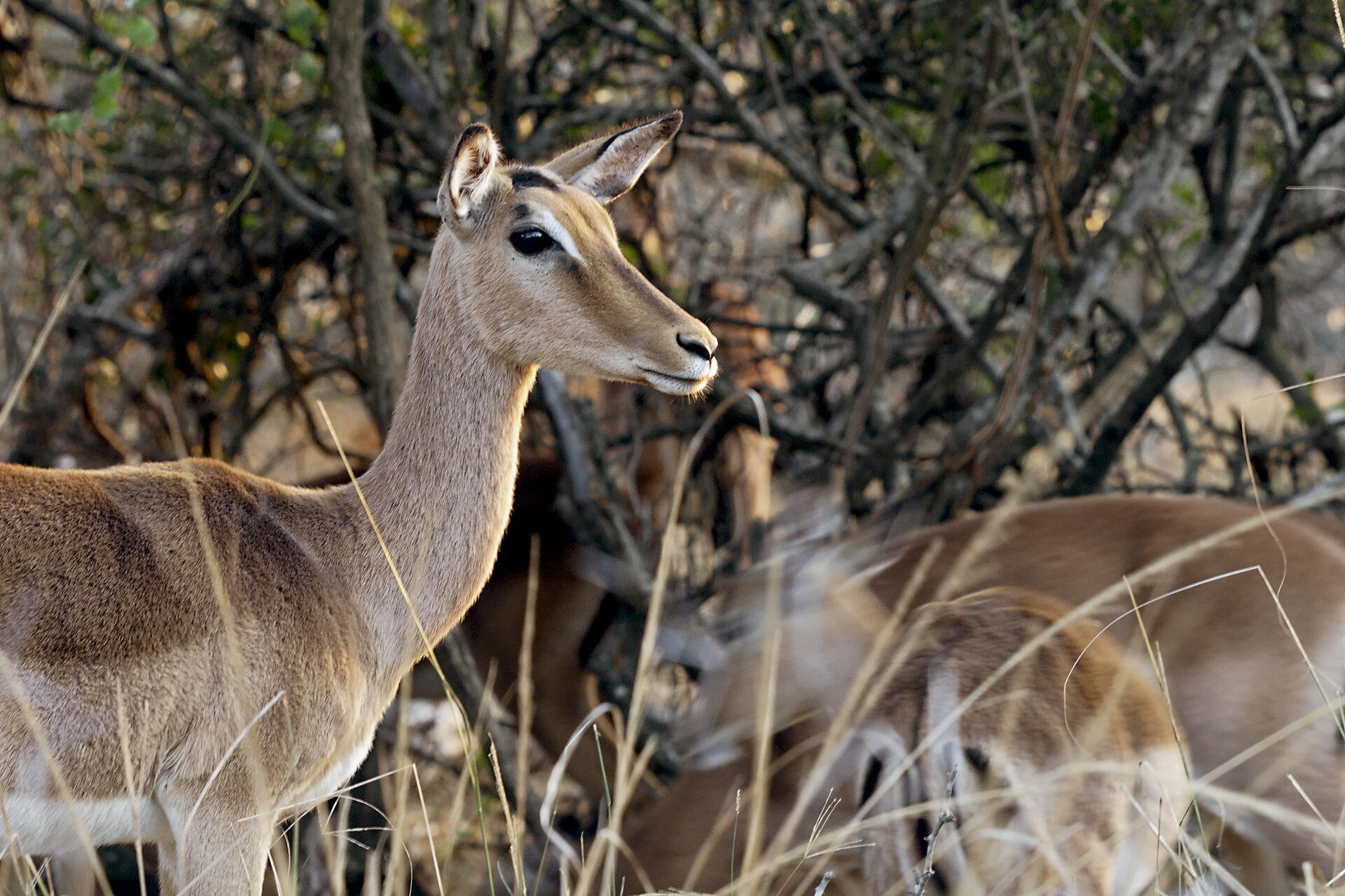 A Favourite Destination for <b> Anglers and Families</b>