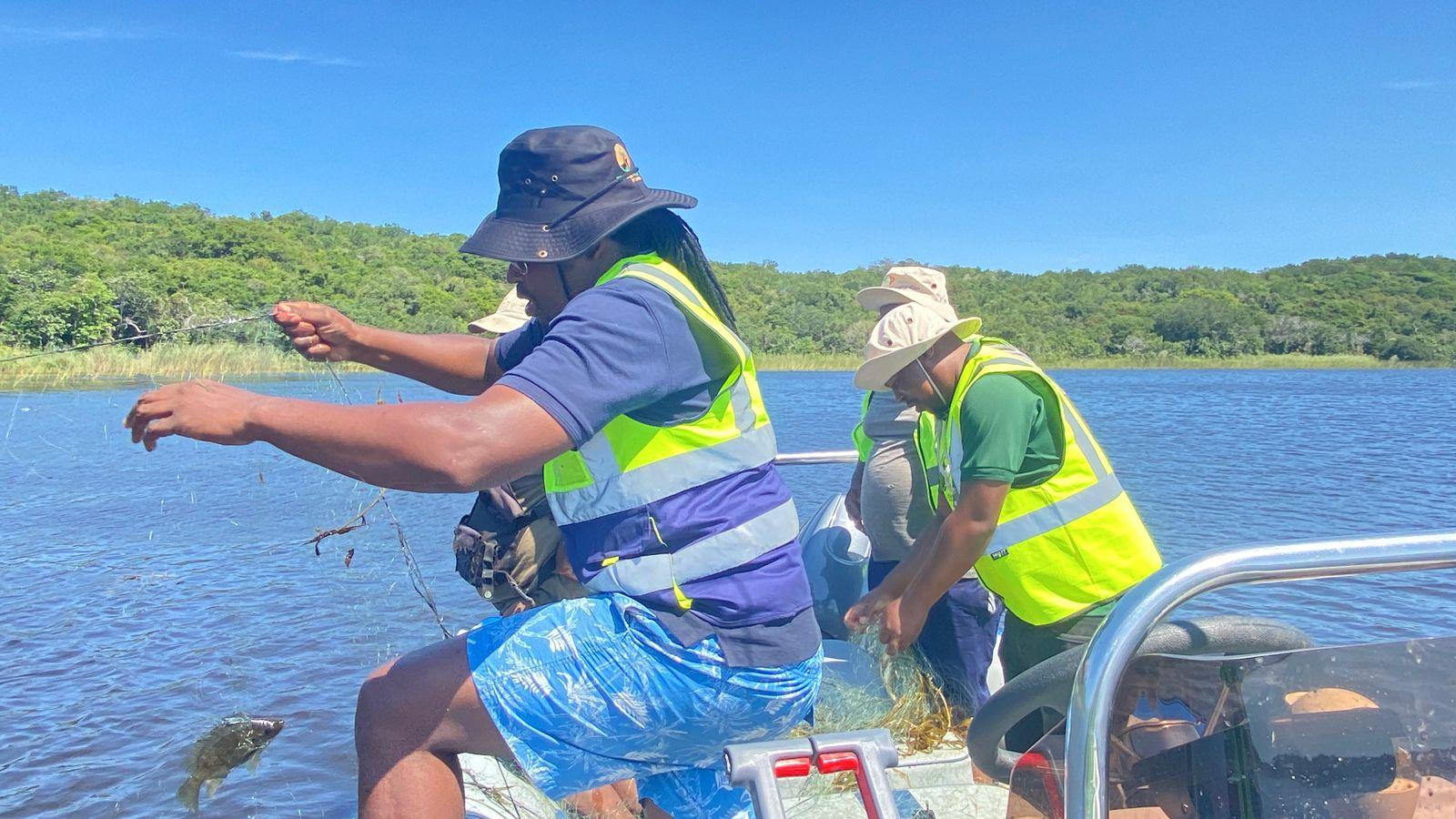 Saving our fish in Kosi Bay Estuary