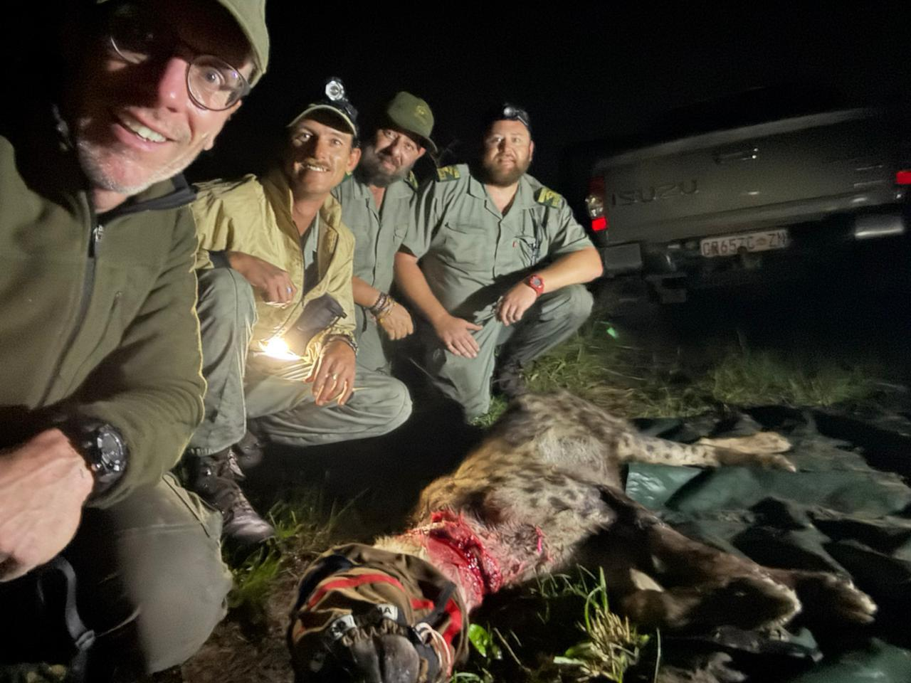 Team efforts save snared Hyena in St Lucia Estuary.